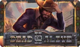 Dead or Alive 2 slot at Aztec Paradise Casino