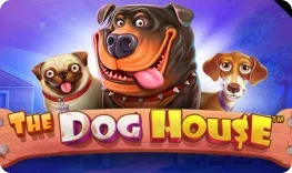 The Dog House slot at Aztec Paradise Casino